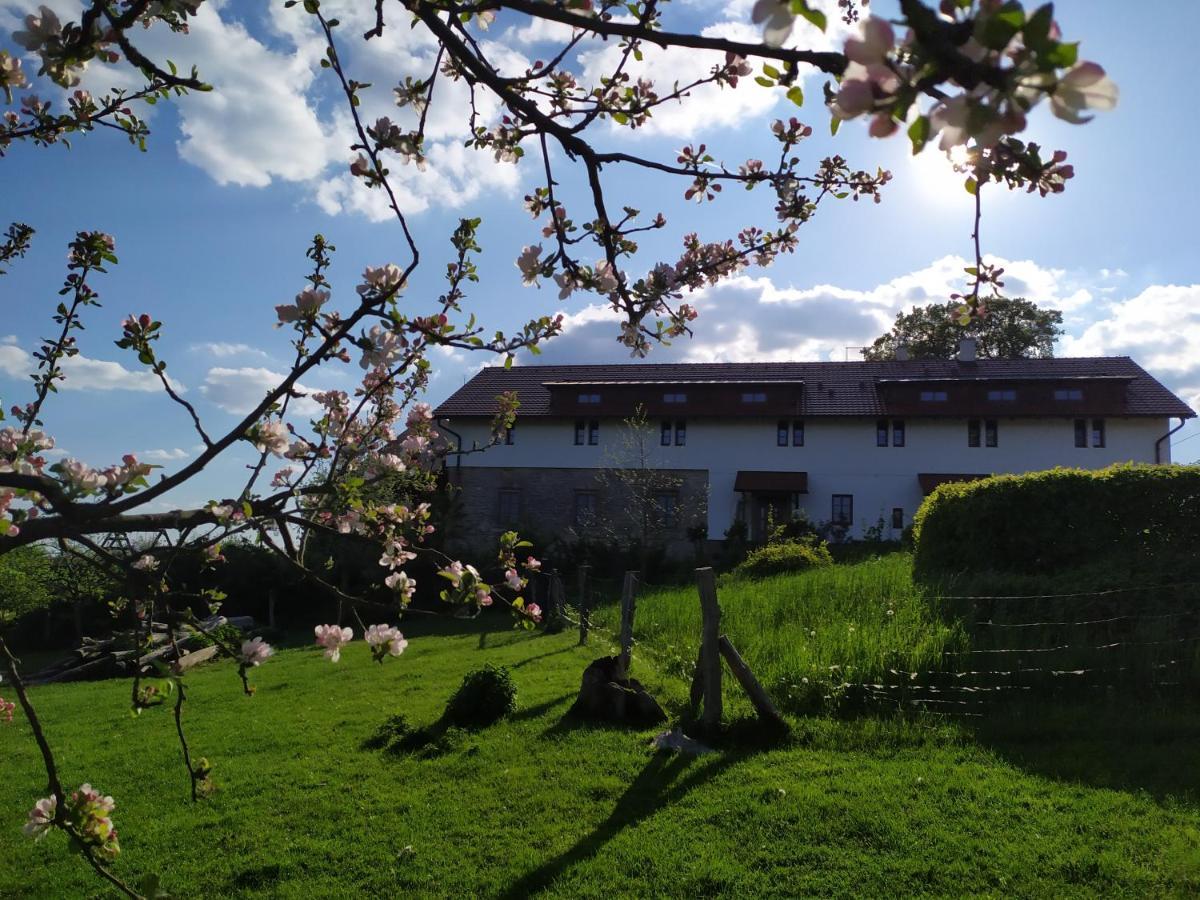 Vila Ekofarma Bílý mrak Borohradek Exteriér fotografie